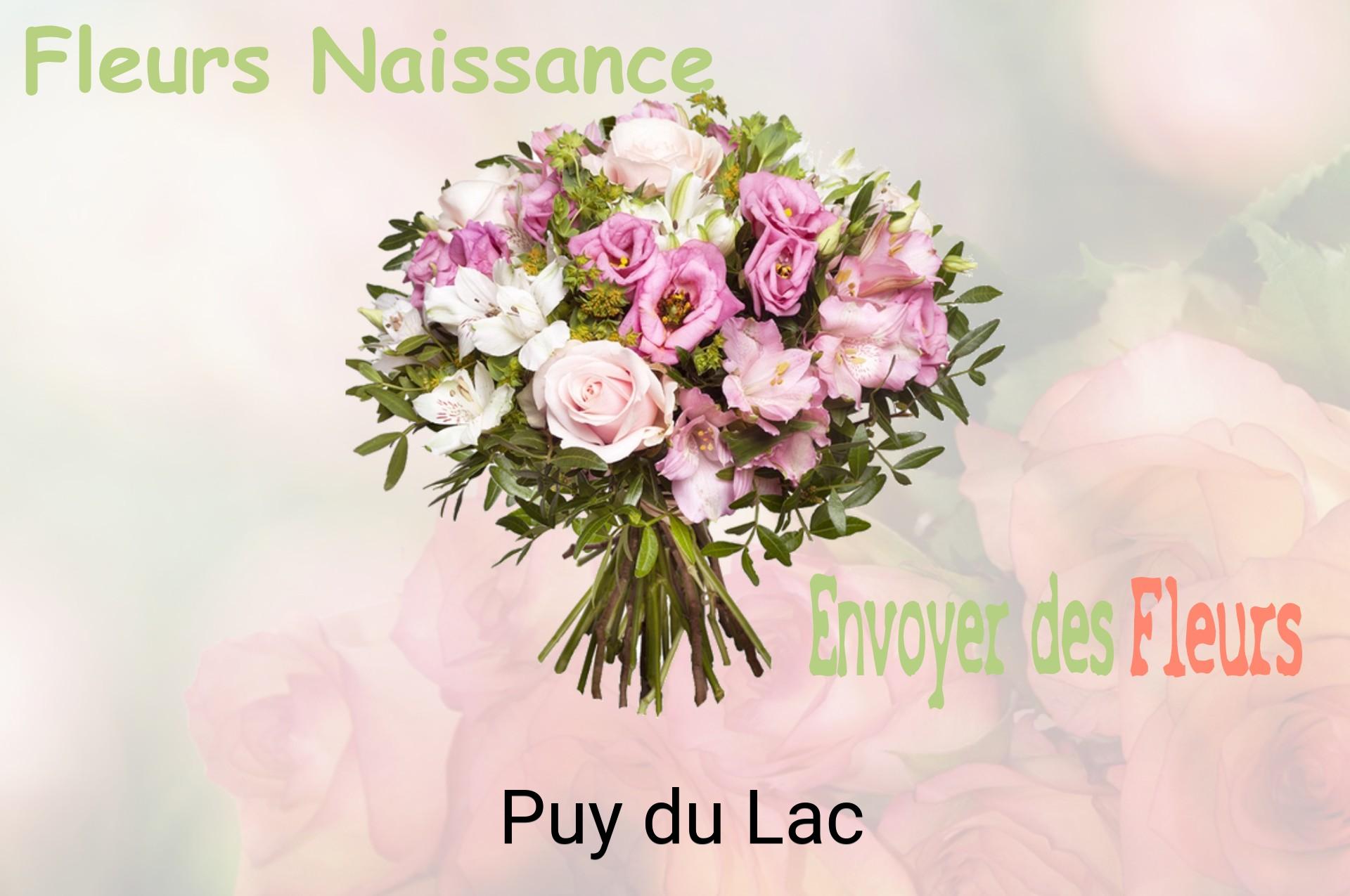 Bouquet de fleurs de naissance livré à Puy-du-Lac