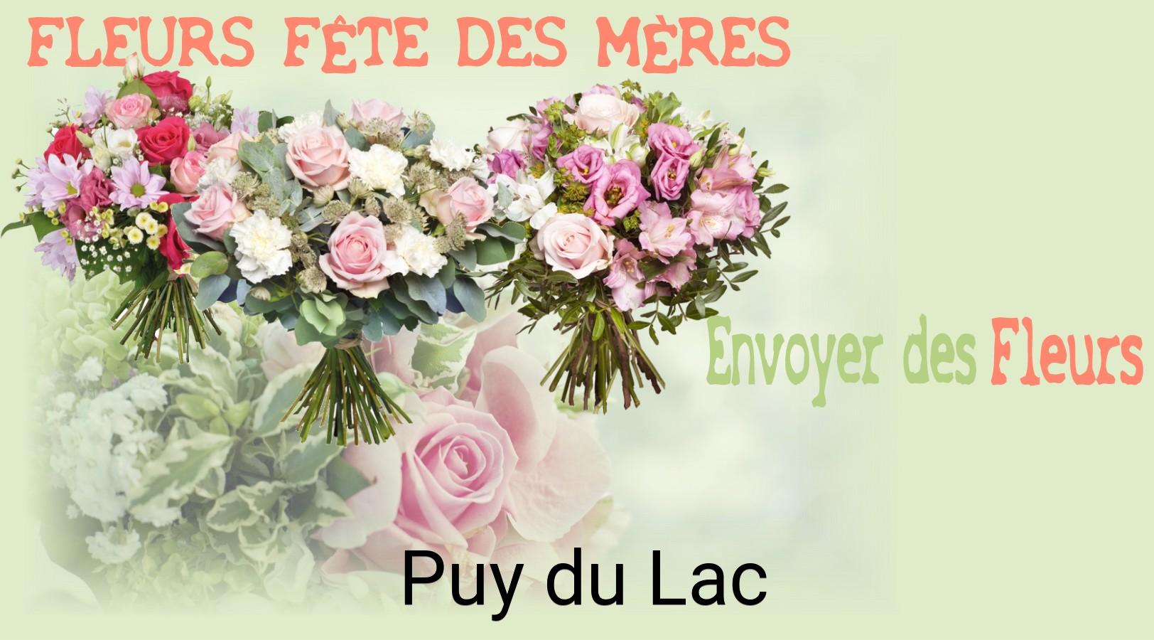Bouquet de Fête des Mères livré à Puy-du-Lac